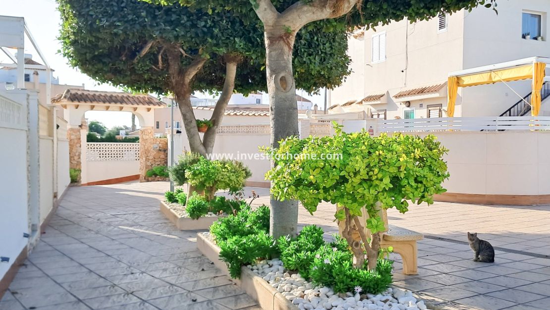 Reventa - Apartamento - Torrevieja - Nueva Torrevieja - Aguas Nuevas