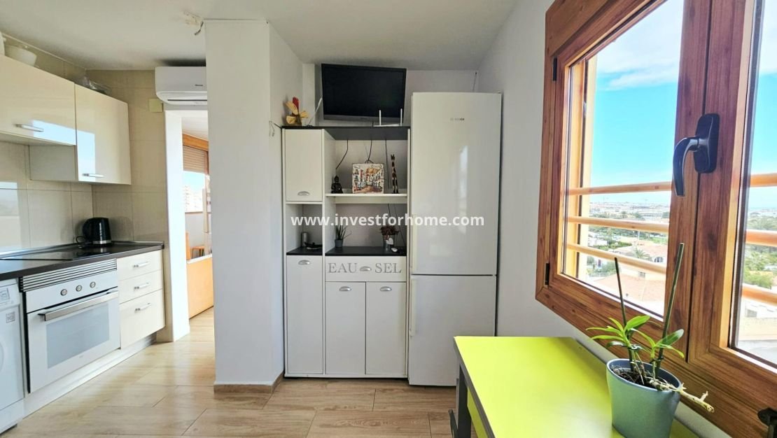 Reventa - Apartamento - Torrevieja - Nueva Torrevieja - Aguas Nuevas