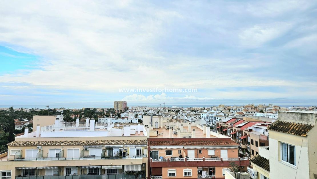Reventa - Apartamento - Torrevieja - Nueva Torrevieja - Aguas Nuevas