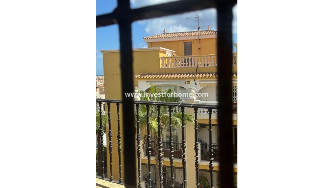 Reventa - Apartamento - Torrevieja - Nueva Torrevieja - Aguas Nuevas