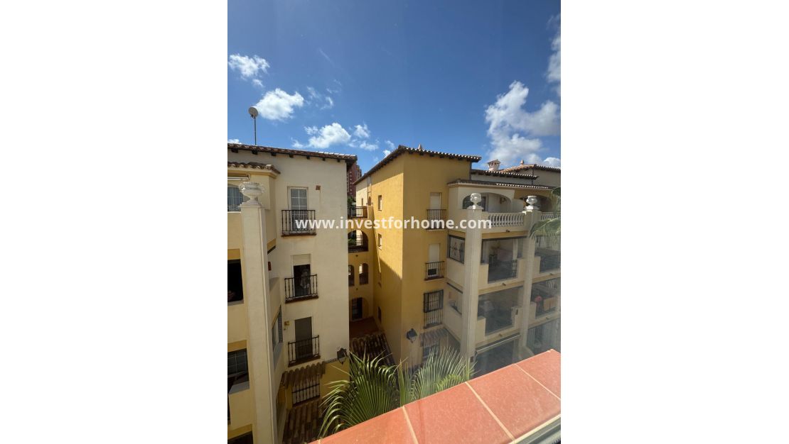 Reventa - Apartamento - Torrevieja - Nueva Torrevieja - Aguas Nuevas