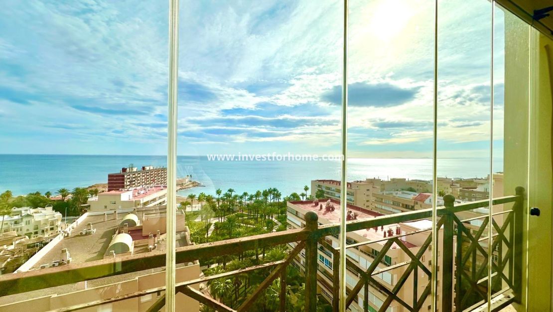 Reventa - Apartamento - Torrevieja - Nueva Torrevieja - Aguas Nuevas