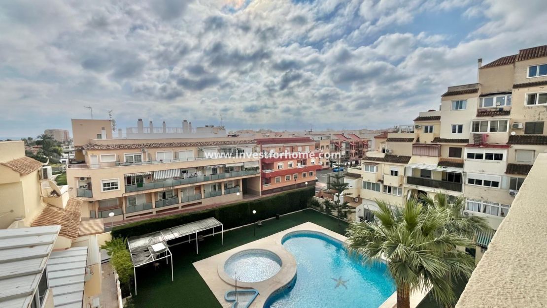 Reventa - Apartamento - Torrevieja - Nueva Torrevieja - Aguas Nuevas