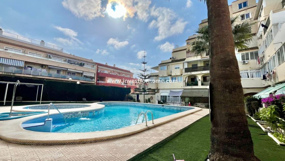 Reventa - Apartamento - Torrevieja - Nueva Torrevieja - Aguas Nuevas