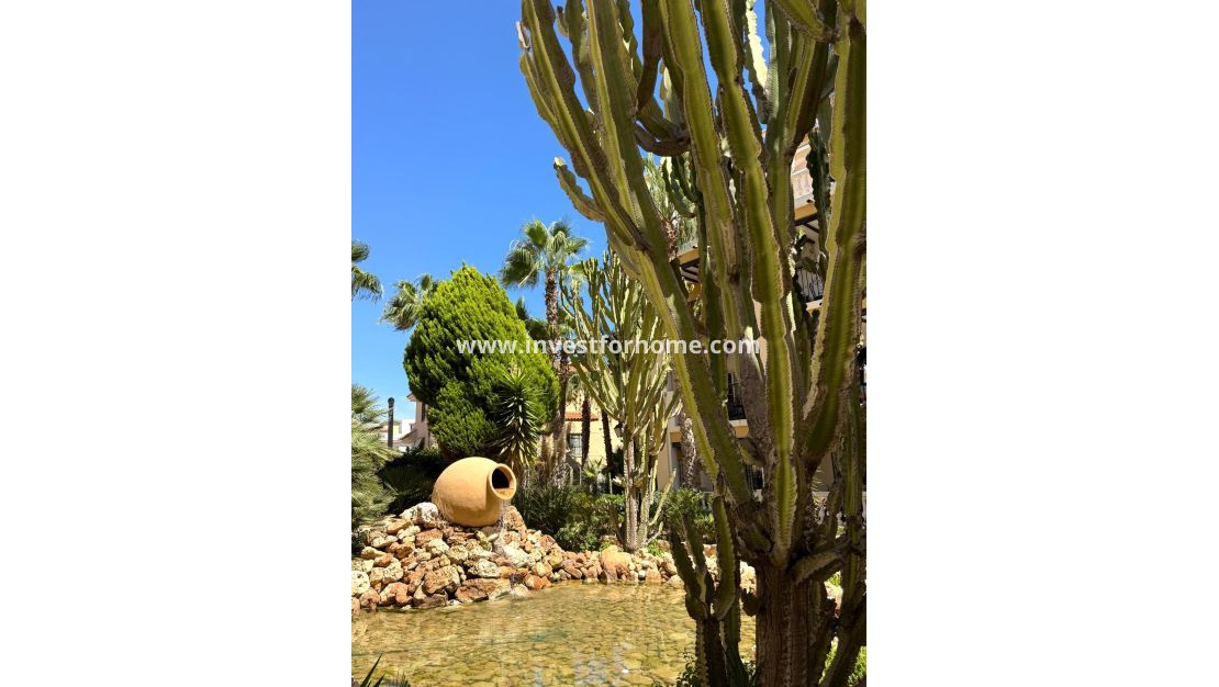 Reventa - Apartamento - Torrevieja - Nueva Torrevieja - Aguas Nuevas