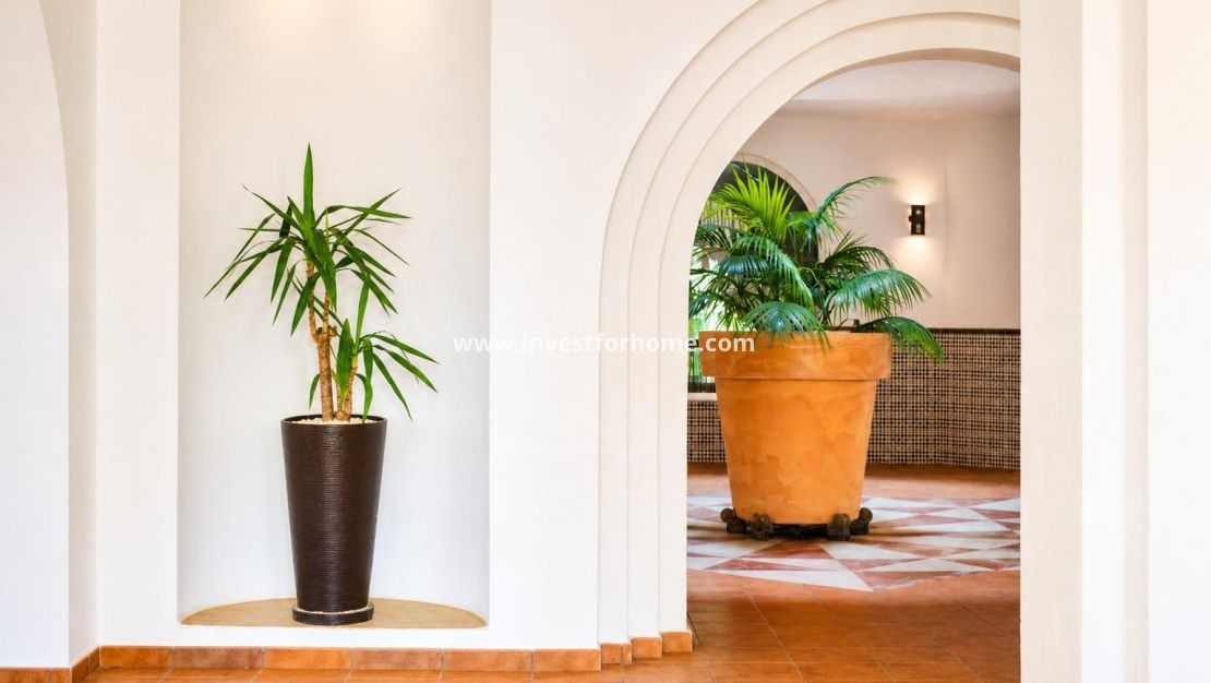 Reventa - Apartamento - Torrevieja - Nueva Torrevieja - Aguas Nuevas