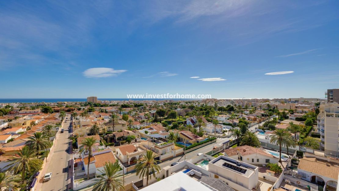 Reventa - Apartamento - Torrevieja - Nueva Torrevieja - Aguas Nuevas
