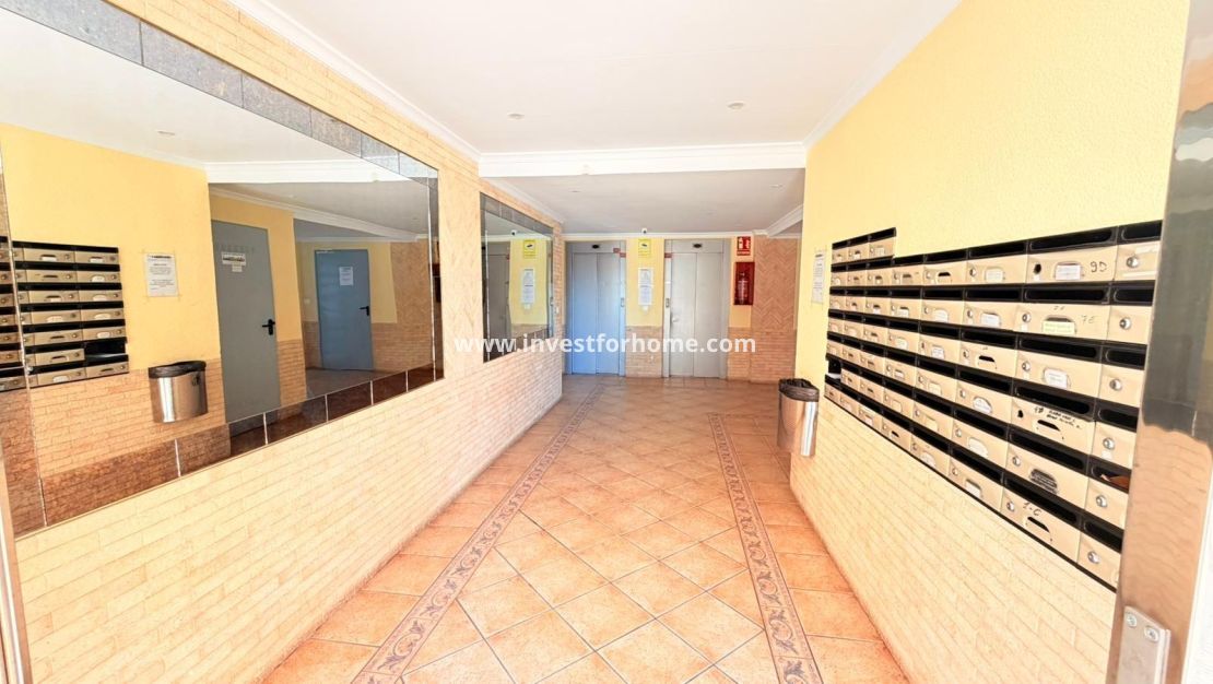 Reventa - Apartamento - Torrevieja - Nueva Torrevieja - Aguas Nuevas
