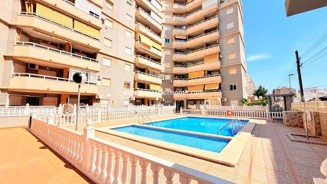 Reventa - Apartamento - Torrevieja - Nueva Torrevieja - Aguas Nuevas