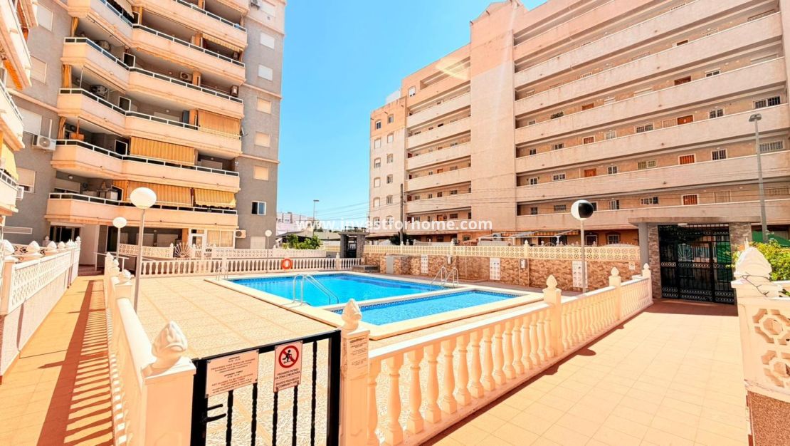 Reventa - Apartamento - Torrevieja - Nueva Torrevieja - Aguas Nuevas