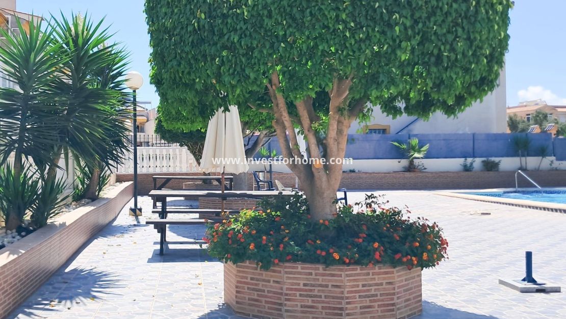 Reventa - Apartamento - Torrevieja - Parque Acuático - Sector 25