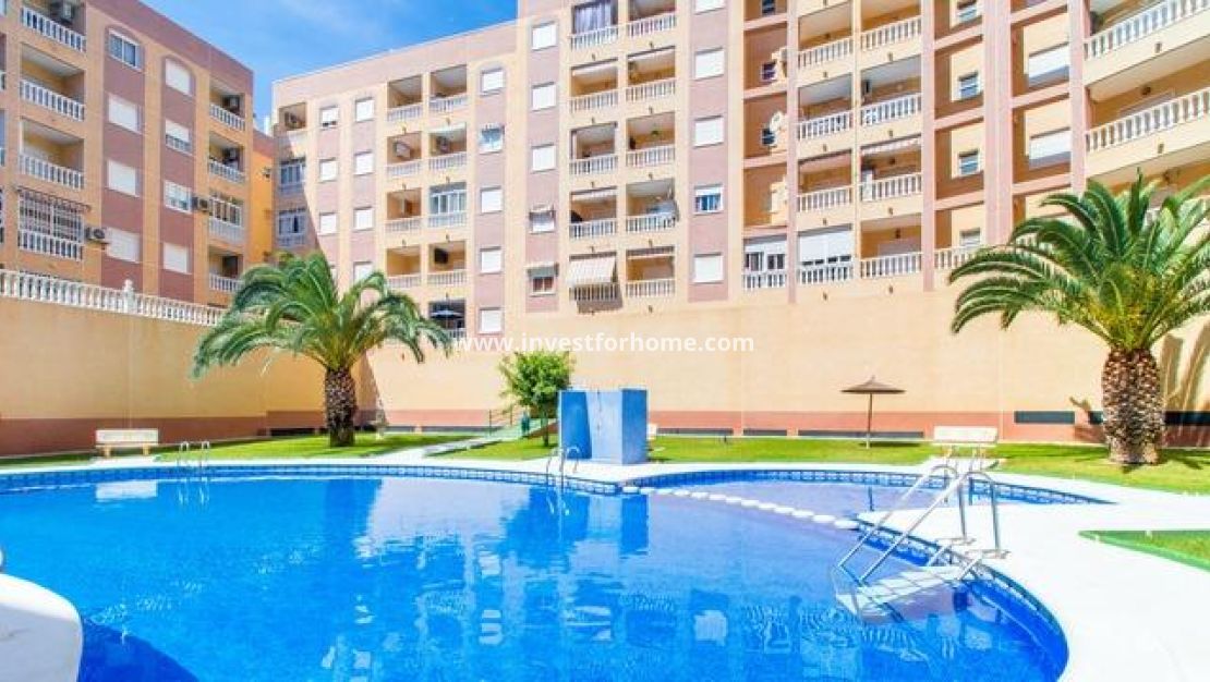 Reventa - Apartamento - Torrevieja - PARQUE DE LAS NACIONES