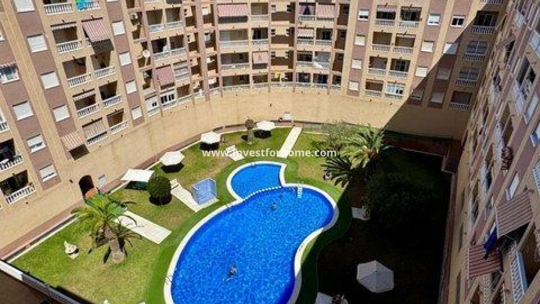 Reventa - Apartamento - Torrevieja - PARQUE DE LAS NACIONES