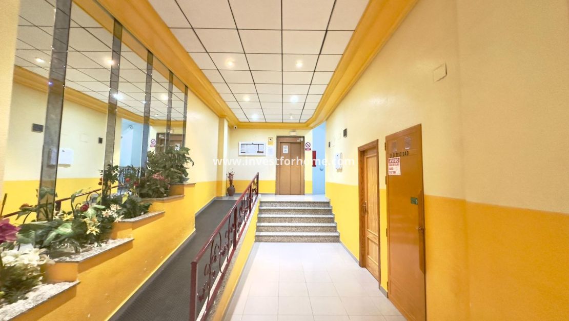 Reventa - Apartamento - Torrevieja - PARQUE DE LAS NACIONES