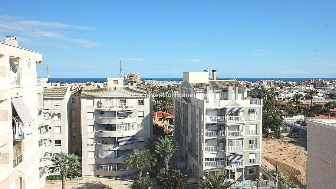 Reventa - Apartamento - Torrevieja - Parque Las Naciones