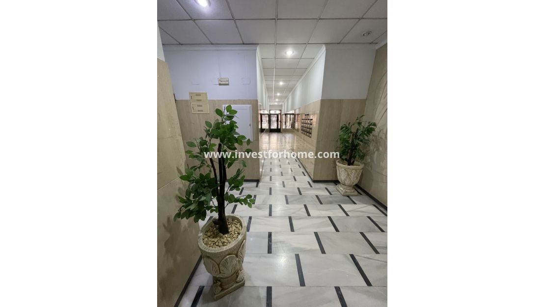 Reventa - Apartamento - Torrevieja - Playa de cura