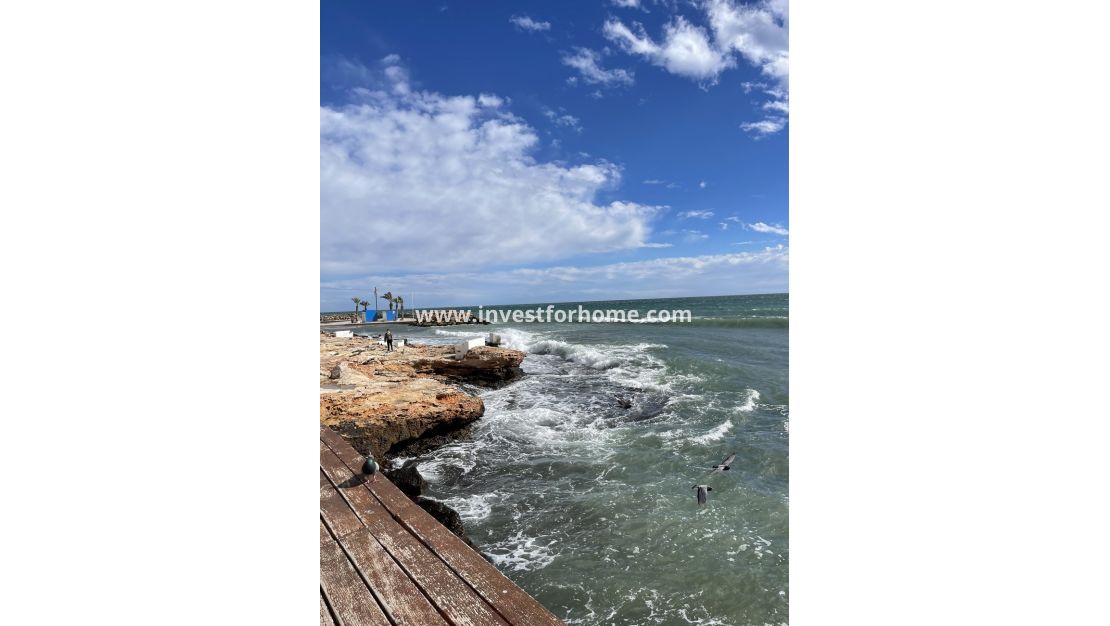 Reventa - Apartamento - Torrevieja - Playa de cura