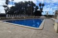 Reventa - Apartamento - Torrevieja - Playa de los Locos