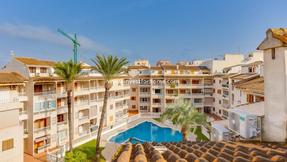 Reventa - Apartamento - Torrevieja - Playa de los Locos