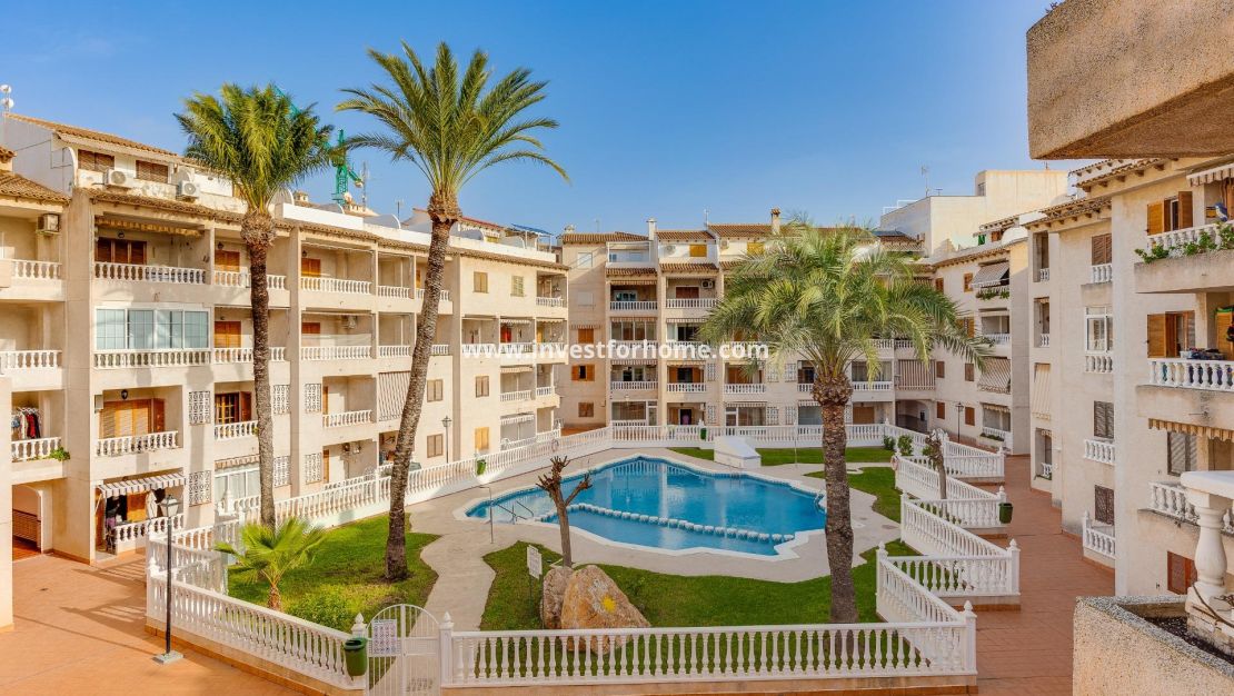 Reventa - Apartamento - Torrevieja - Playa de los Locos