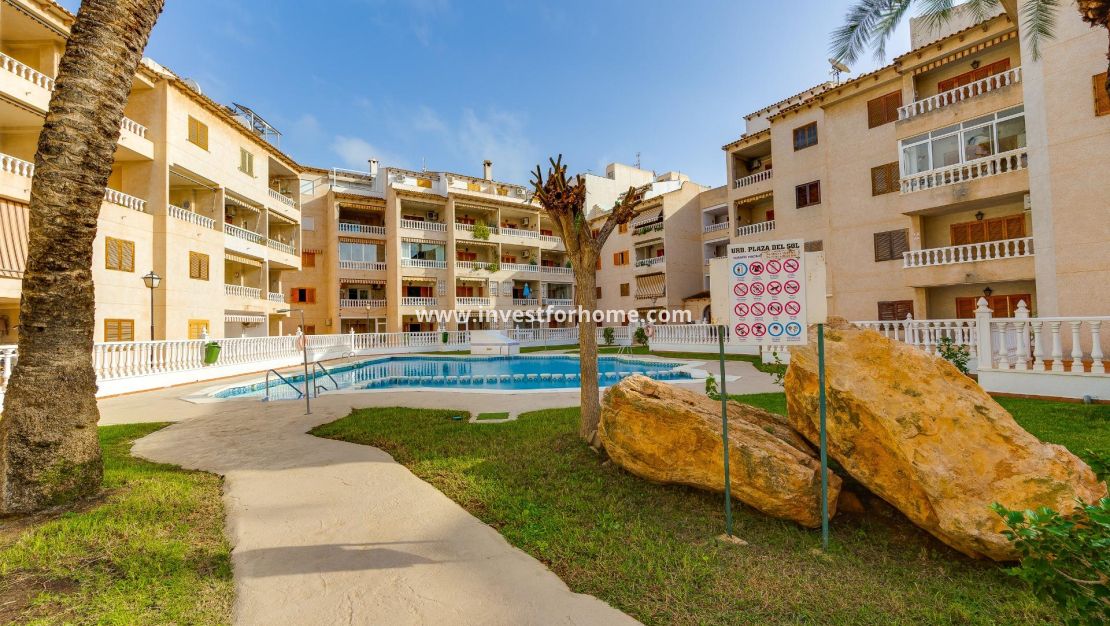 Reventa - Apartamento - Torrevieja - Playa de los Locos