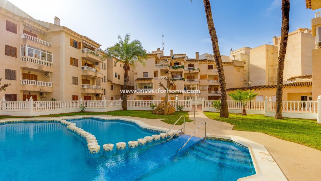 Reventa - Apartamento - Torrevieja - Playa de los Locos