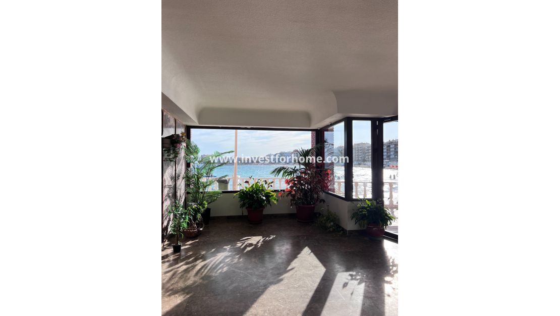 Reventa - Apartamento - Torrevieja - Playa de los Locos