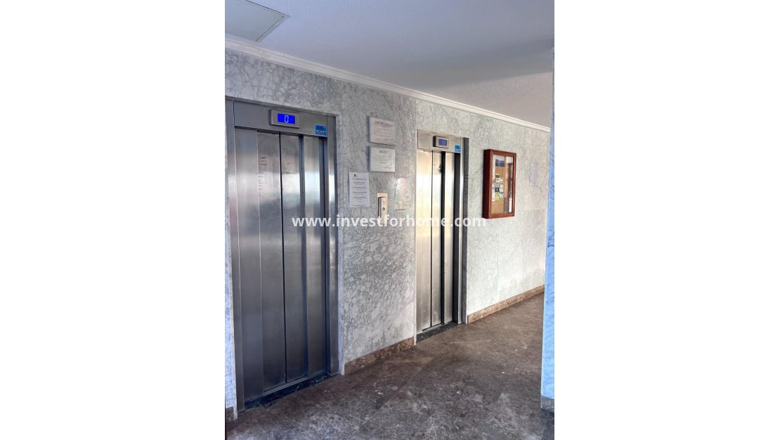 Reventa - Apartamento - Torrevieja - Playa de los Locos