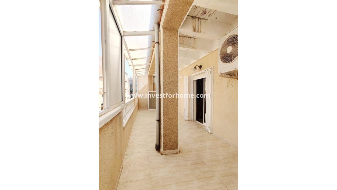 Reventa - Apartamento - Torrevieja - Playa de los Locos