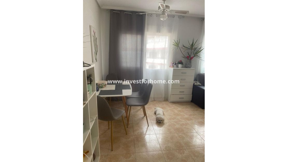 Reventa - Apartamento - Torrevieja - Playa de los Locos