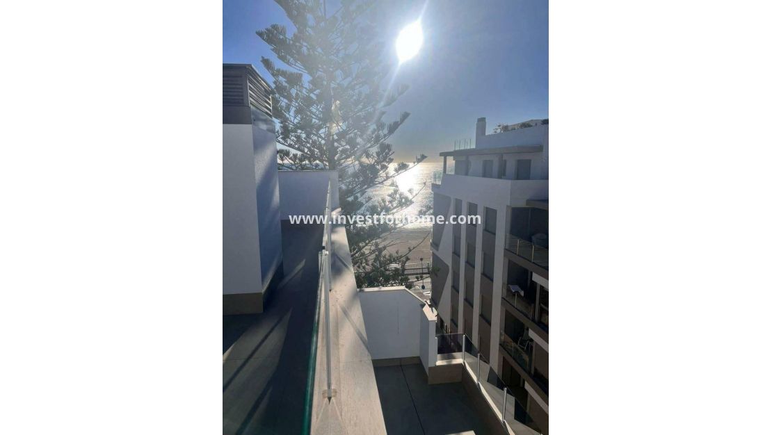 Reventa - Apartamento - Torrevieja - Playa de los Locos