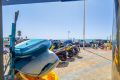 Reventa - Apartamento - Torrevieja - Playa de los Locos