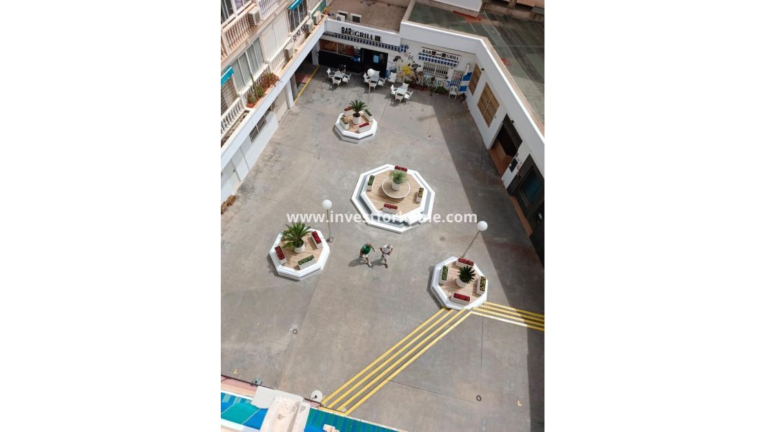 Reventa - Apartamento - Torrevieja - Playa de los Locos