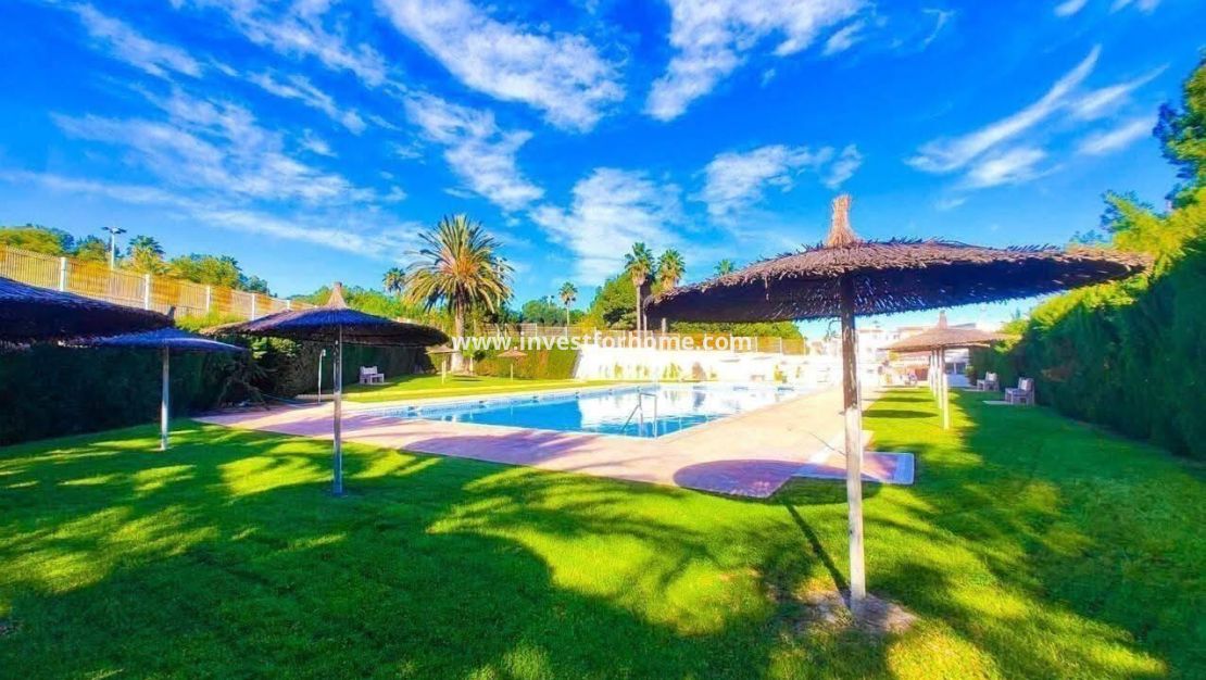 Reventa - Apartamento - Torrevieja - Playa de los Locos