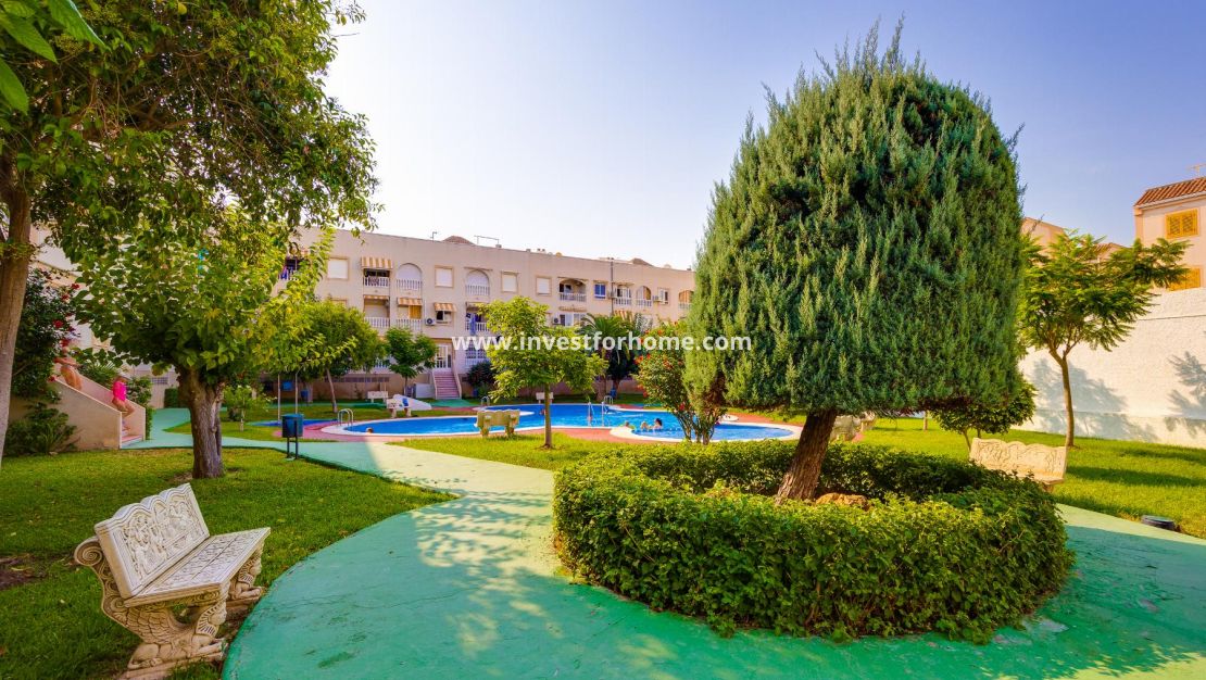 Reventa - Apartamento - Torrevieja - Playa del Acequión
