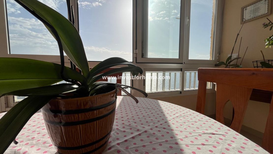 Reventa - Apartamento - Torrevieja - Playa del Cura