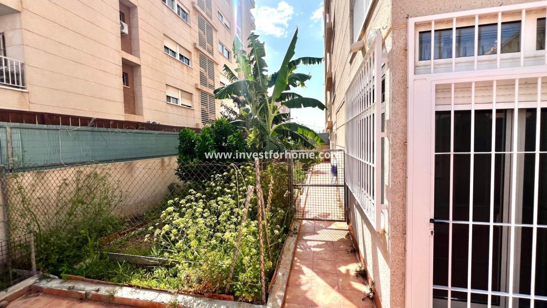 Reventa - Apartamento - Torrevieja - Playa del Cura