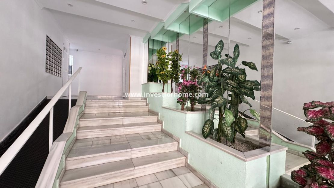 Reventa - Apartamento - Torrevieja - Playa del Cura