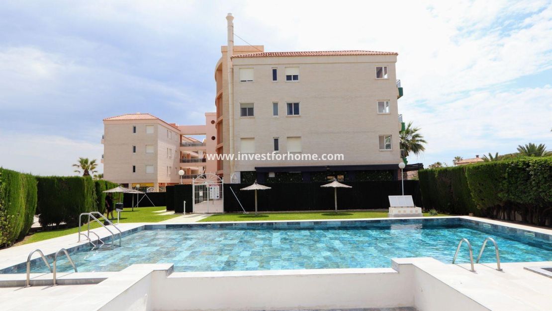 Reventa - Apartamento - Torrevieja - Playa Flamenca