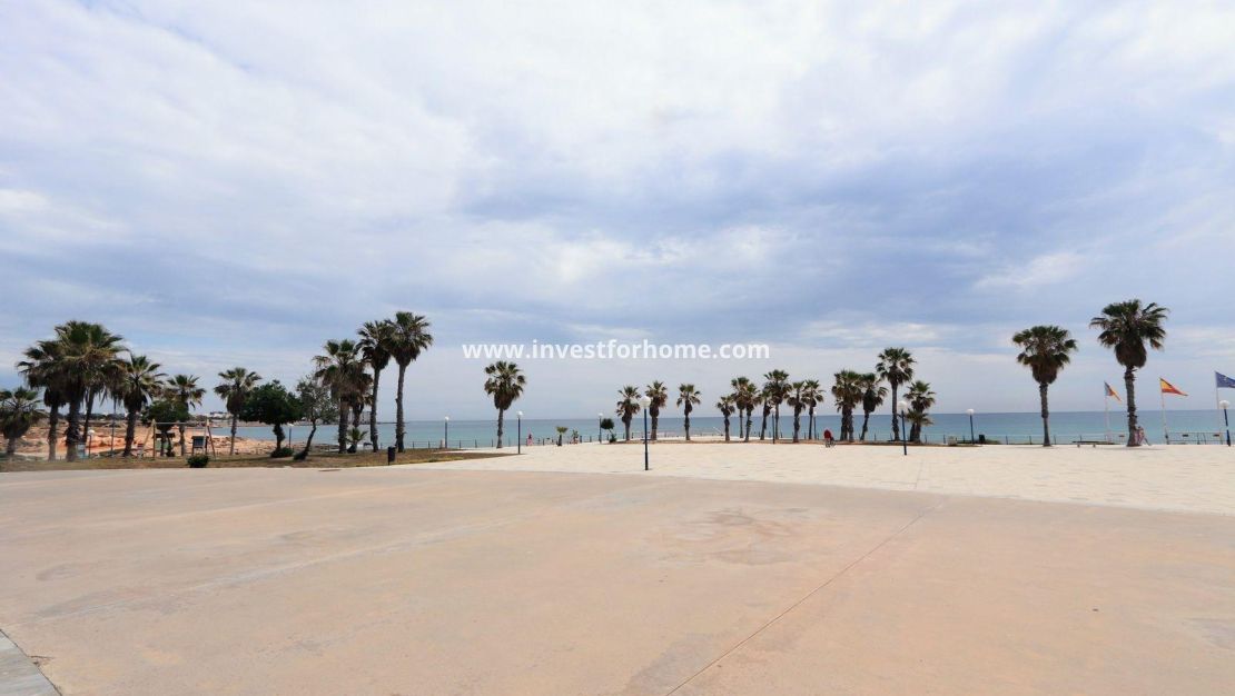 Reventa - Apartamento - Torrevieja - Playa Flamenca