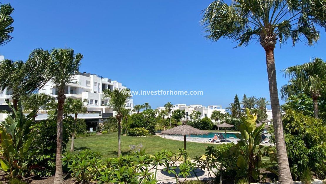 Reventa - Apartamento - Torrevieja - Punta prima