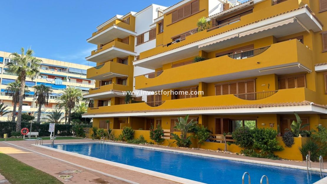 Reventa - Apartamento - Torrevieja - Punta prima