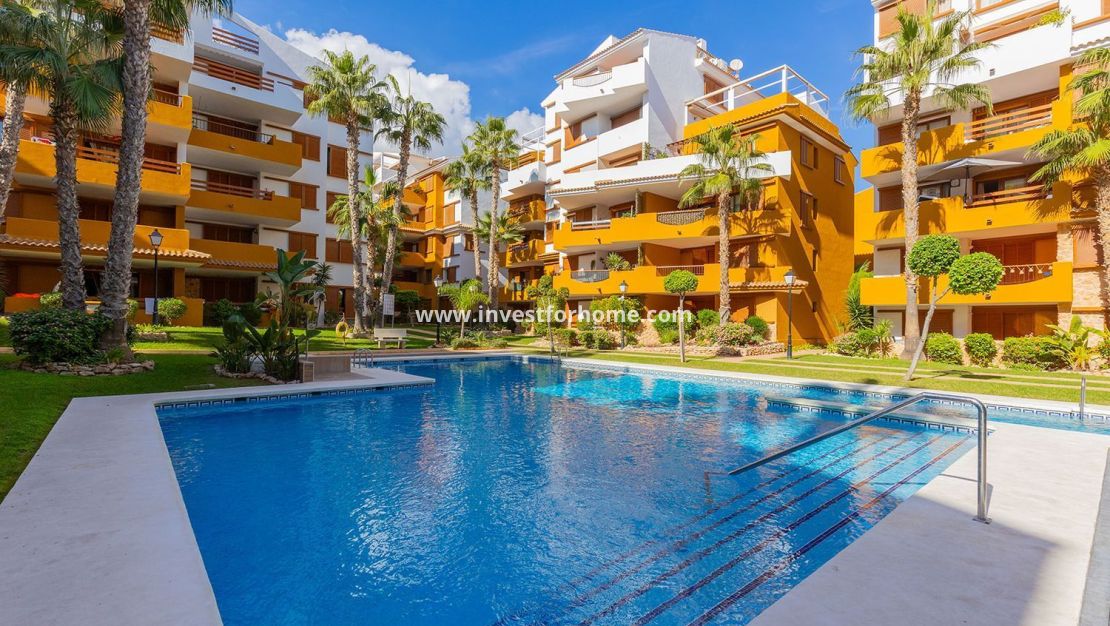 Reventa - Apartamento - Torrevieja - Punta prima
