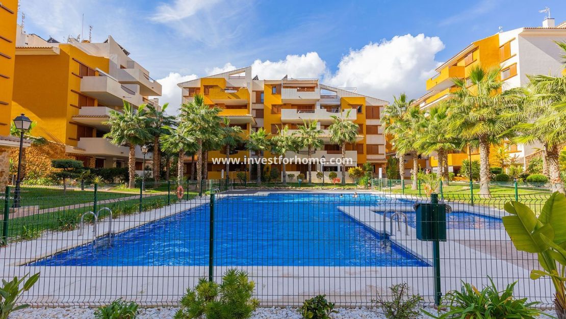 Reventa - Apartamento - Torrevieja - Punta prima