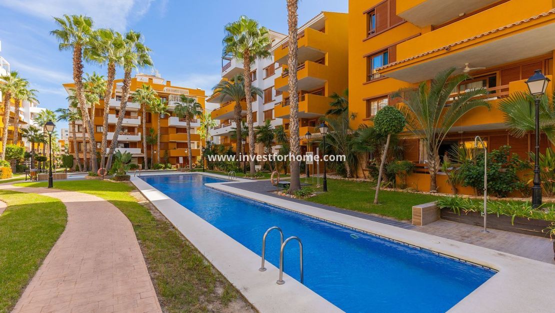 Reventa - Apartamento - Torrevieja - Punta prima