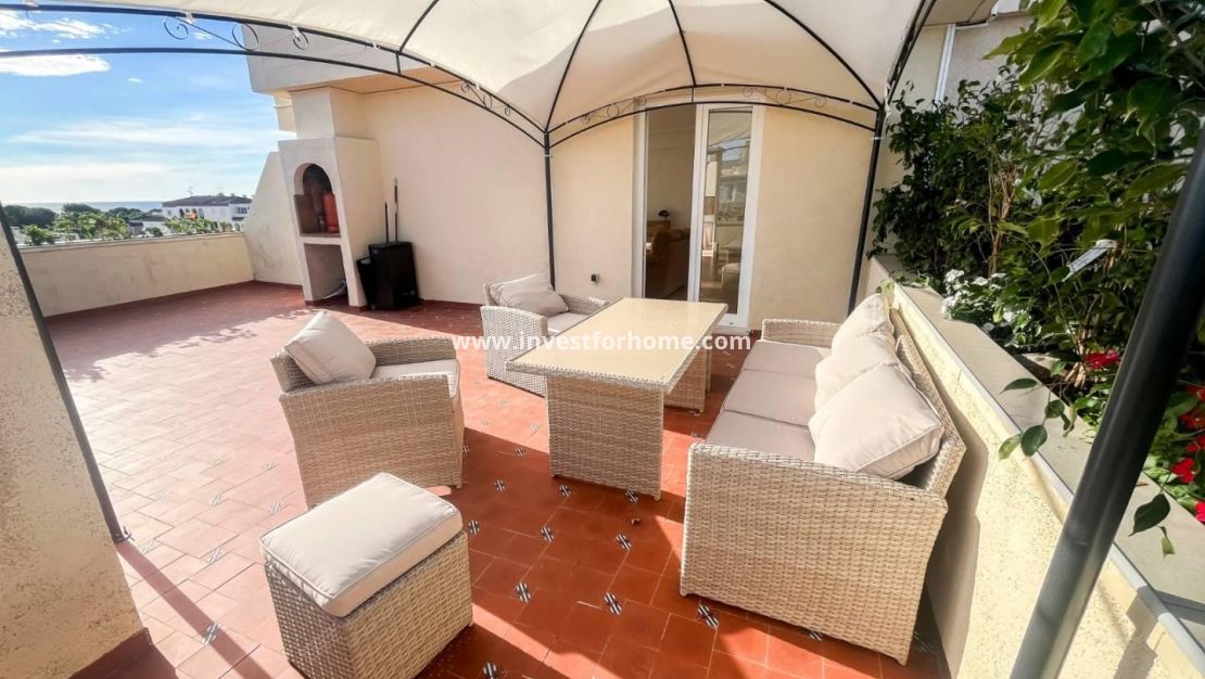 Reventa - Apartamento - Torrevieja - Punta prima