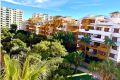 Reventa - Apartamento - Torrevieja - Punta prima