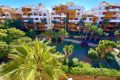 Reventa - Apartamento - Torrevieja - Punta prima