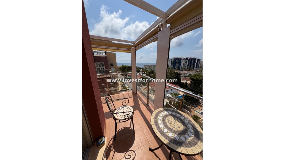 Reventa - Apartamento - Torrevieja - Punta prima
