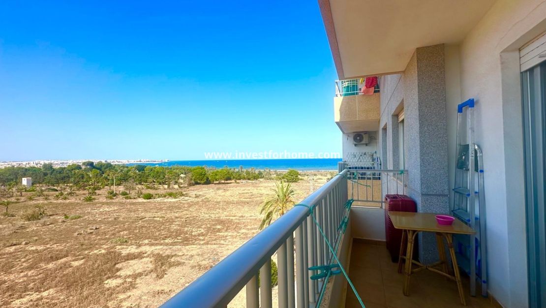 Reventa - Apartamento - Torrevieja - Punta prima
